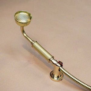 Brass handheld shower closeup