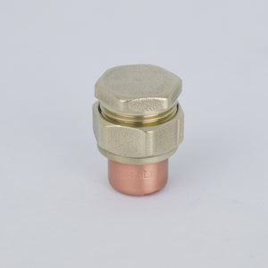 Copper and brass raised knob bolt standing on white background
