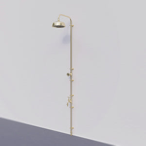Brass single inlet shower on white wall