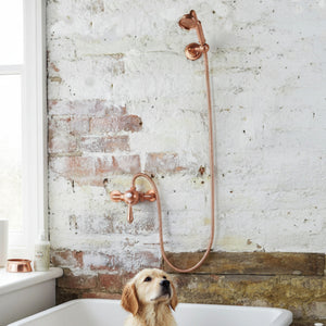 Dog in a bathtub with copper shower fixtures against a brick wall.