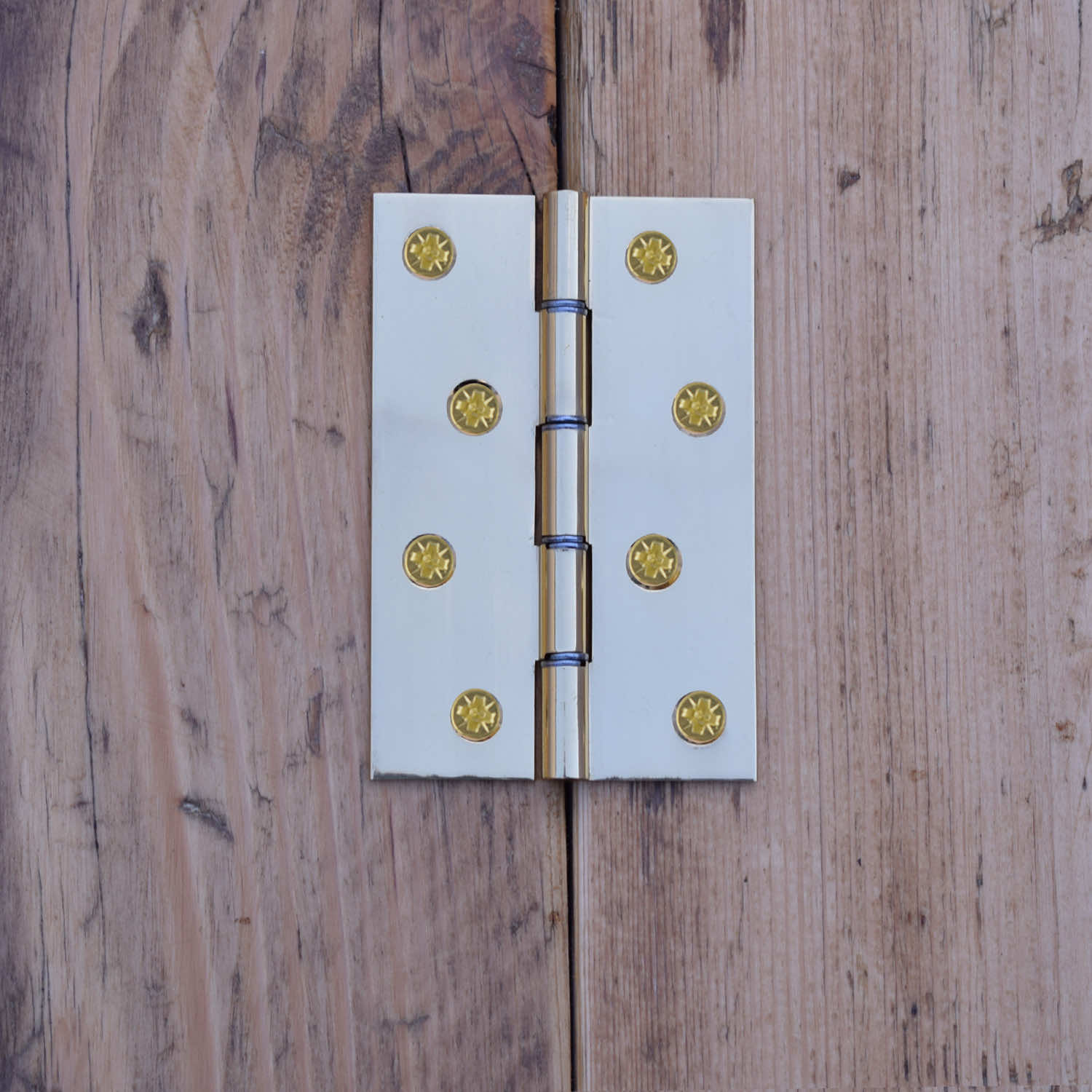 Fitted brass hinge detail on wooden cabinet