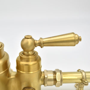 brass lever handle mounted on a brass thermostatic shower