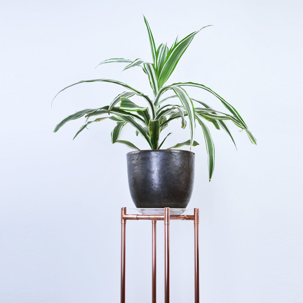 Handmade Tall Slim Copper Plant Stand - Proper Copper Design