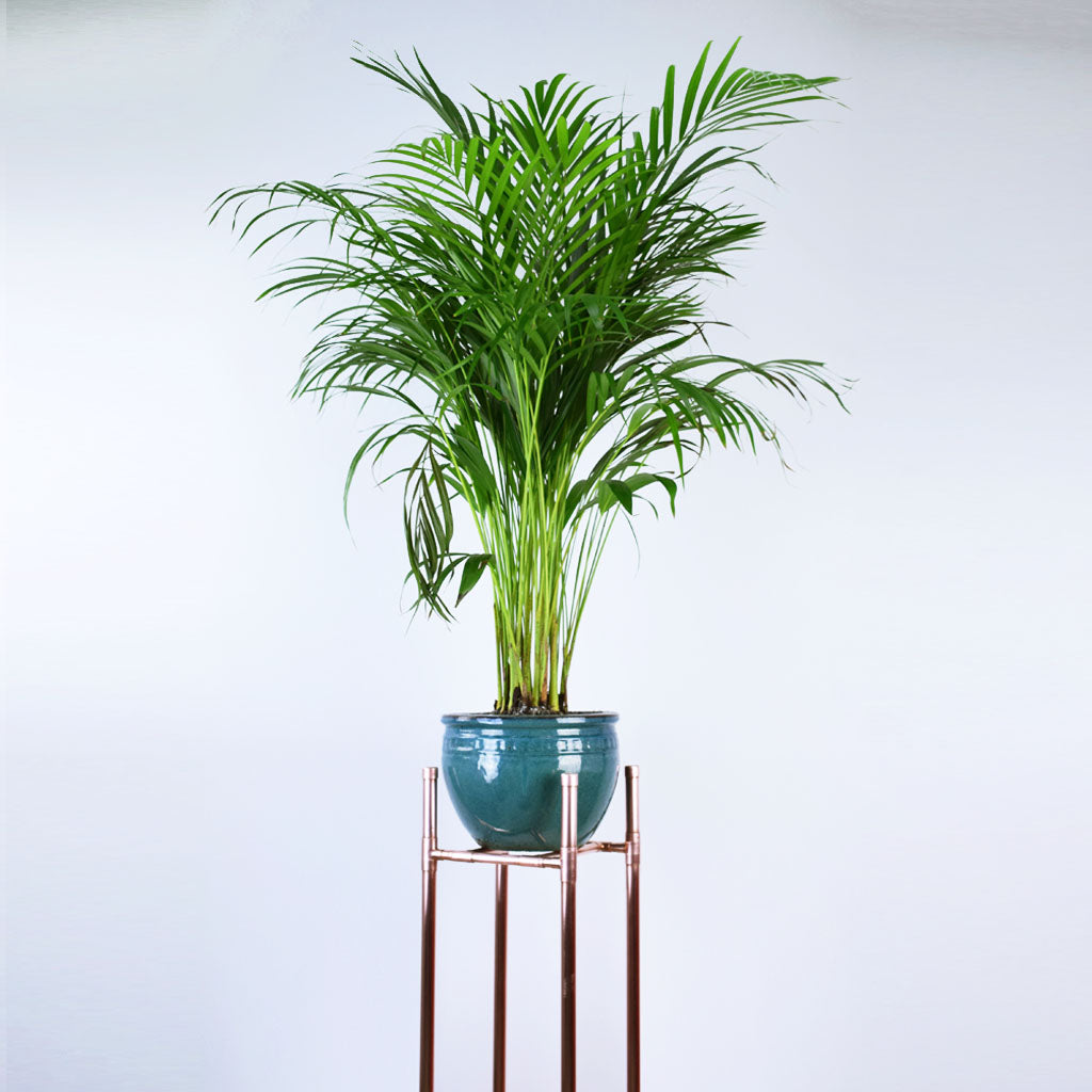 Handmade Tall Copper Plant Stand - Proper Copper Design