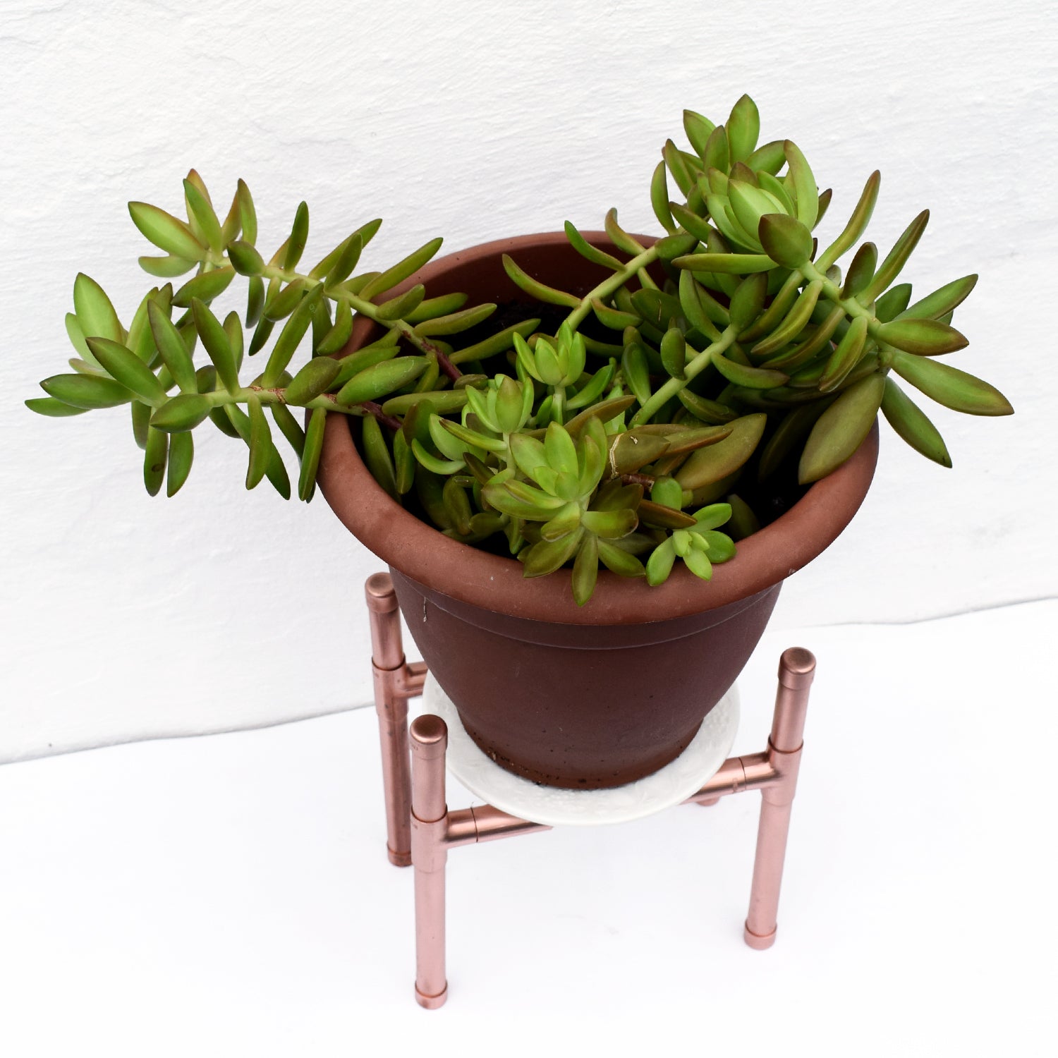 Small Copper Plant Stand - View from top