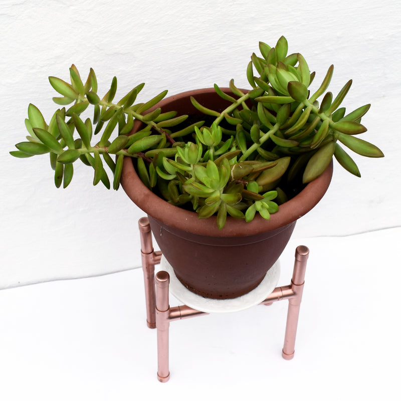 Small Copper Plant Stand - Proper Copper Design